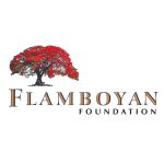 Flamboyan Foundation : Brand Short Description Type Here.